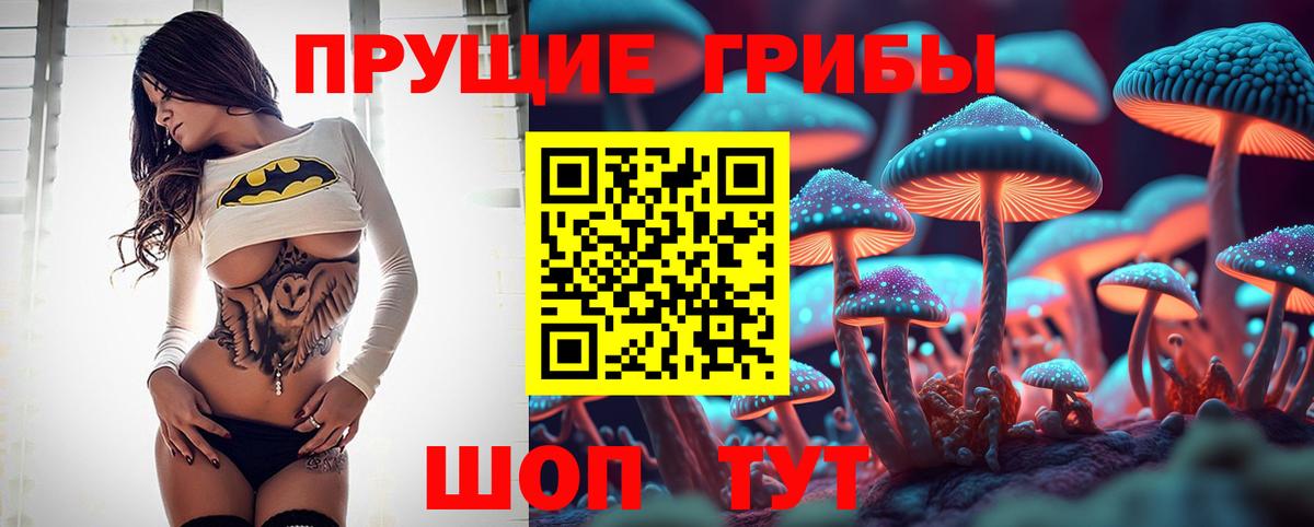 Галлюциногенные грибы Psilocybe  Вход с VPN  Пермь  хочу наркоту  Галлюциногенные грибы Cubensis 